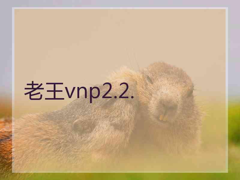 老王vnp2.2.