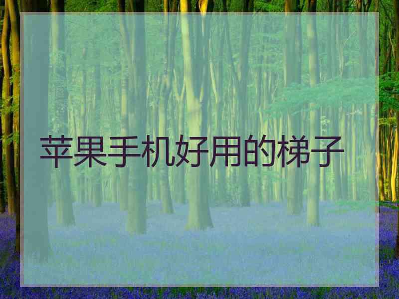 苹果手机好用的梯子