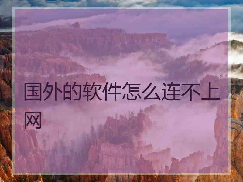 国外的软件怎么连不上网
