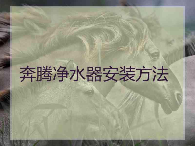 奔腾净水器安装方法