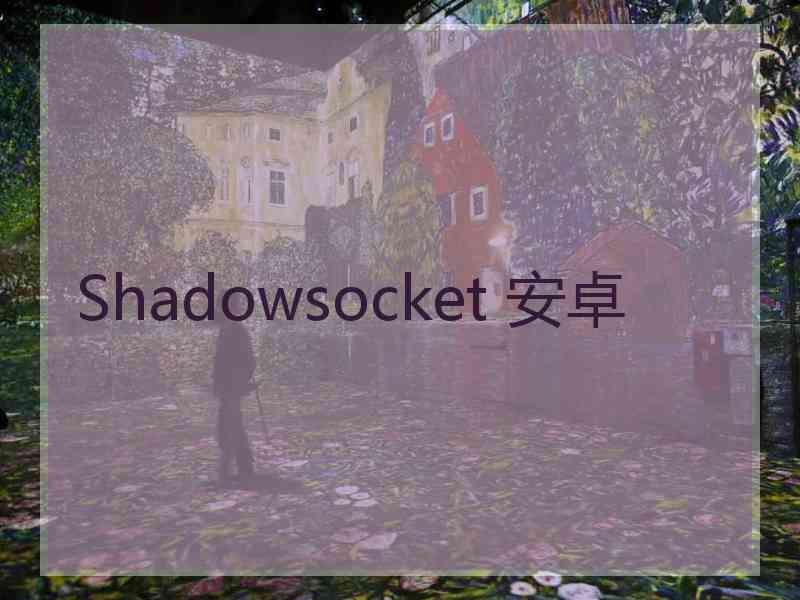Shadowsocket 安卓