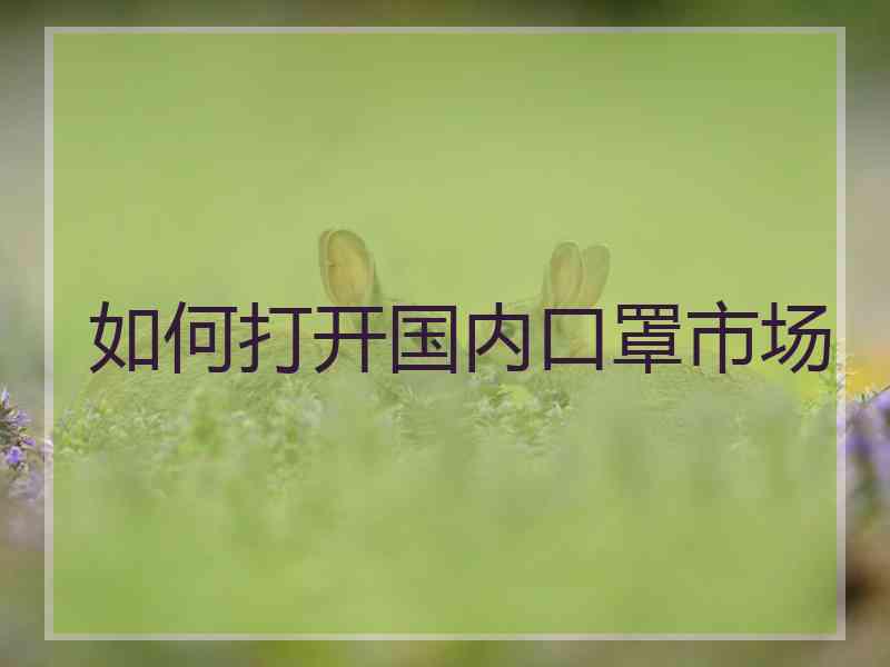如何打开国内口罩市场