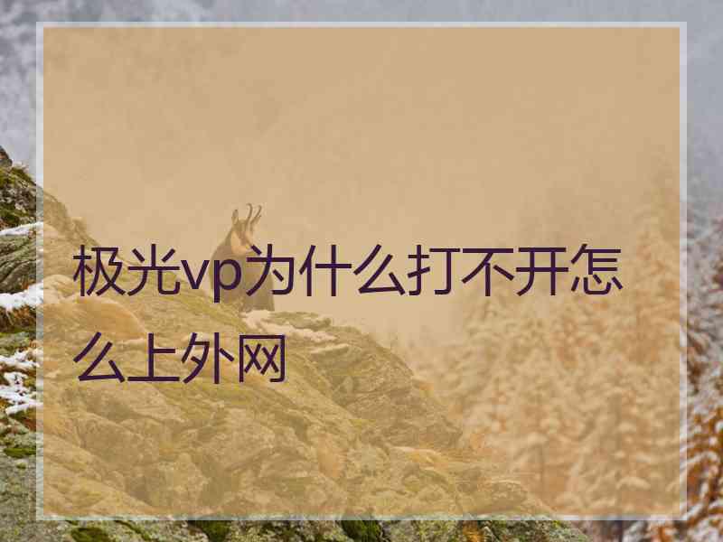 极光vp为什么打不开怎么上外网