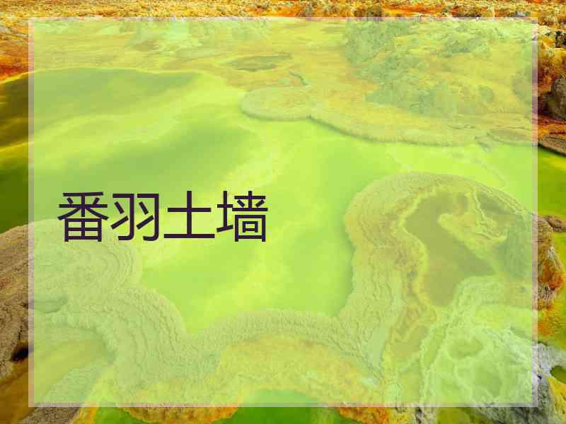 番羽土墙