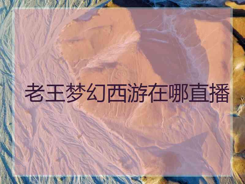 老王梦幻西游在哪直播