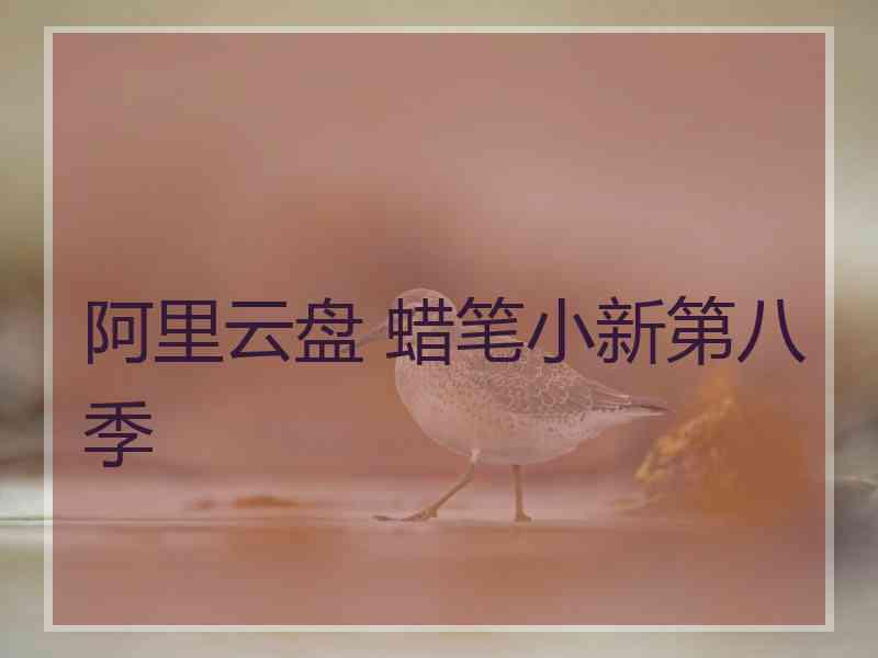 阿里云盘 蜡笔小新第八季
