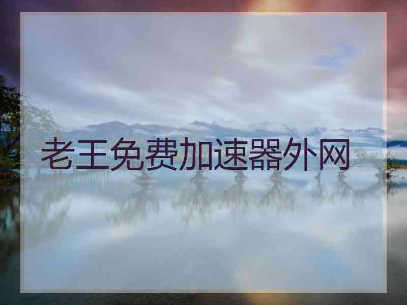 老王免费加速器外网