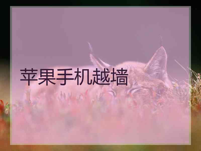 苹果手机越墙