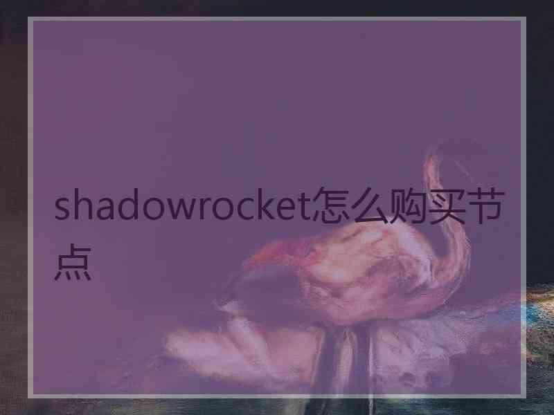shadowrocket怎么购买节点