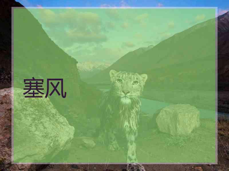 塞风