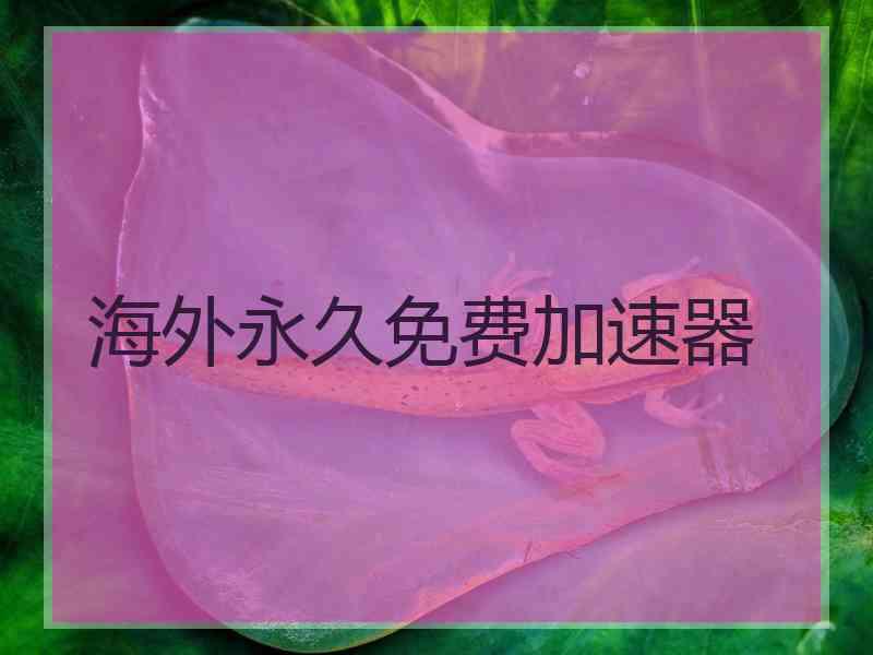 海外永久免费加速器