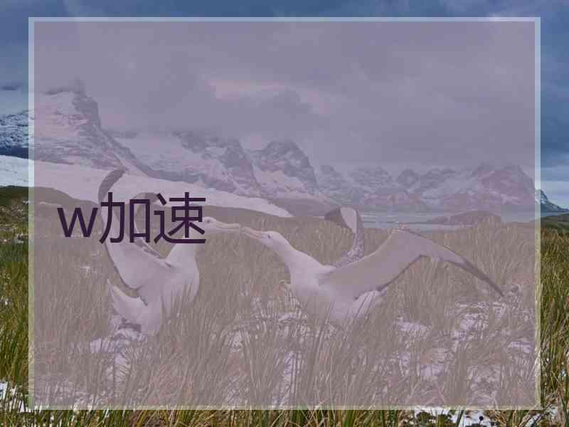 w加速