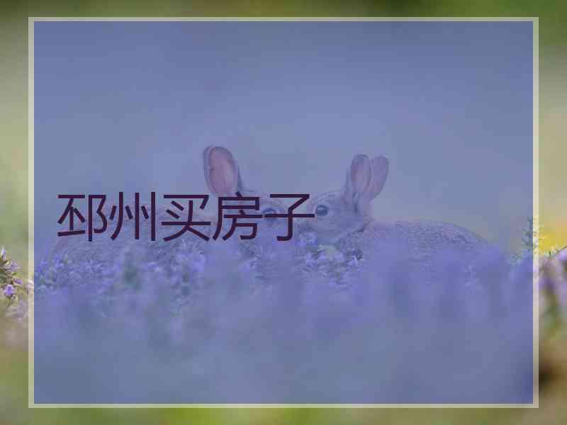 邳州买房子