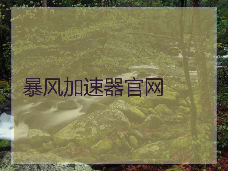 暴风加速器官网