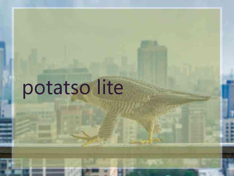 potatso lite