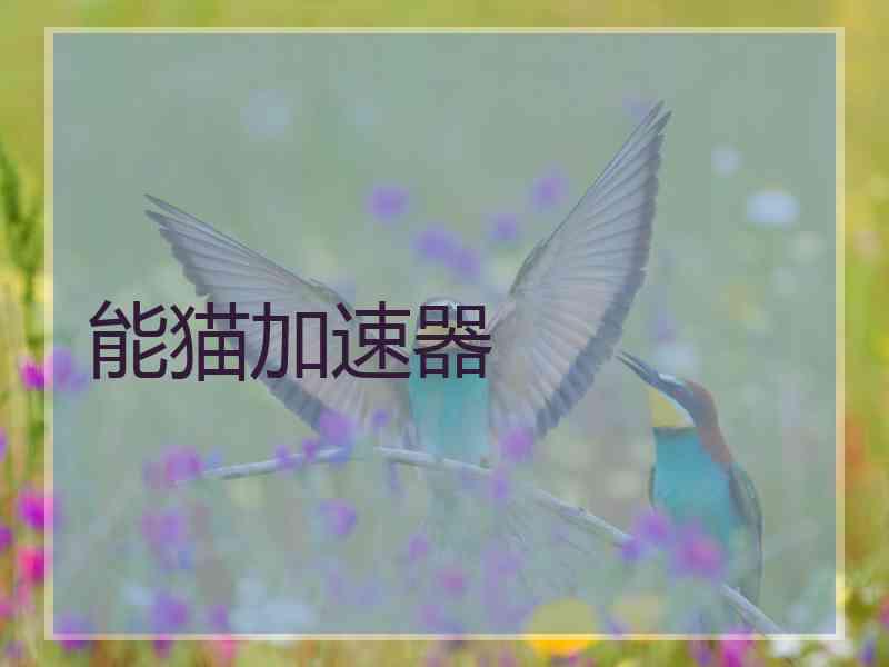 能猫加速器