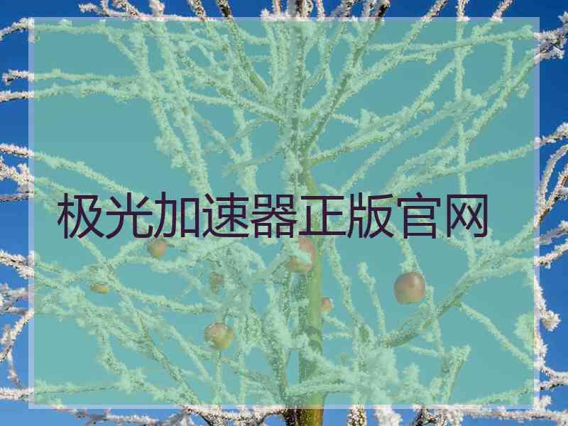 极光加速器正版官网
