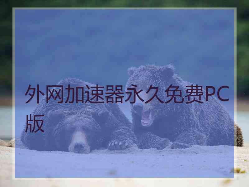外网加速器永久免费PC版