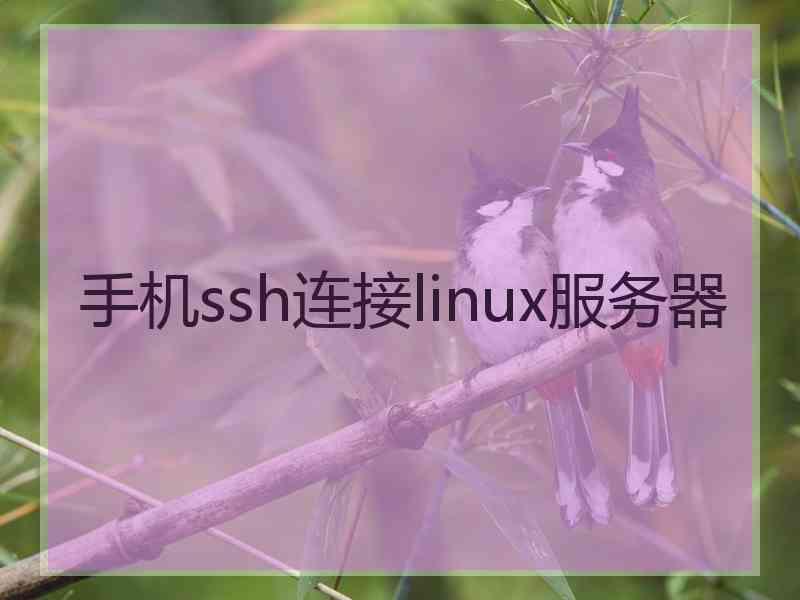 手机ssh连接linux服务器