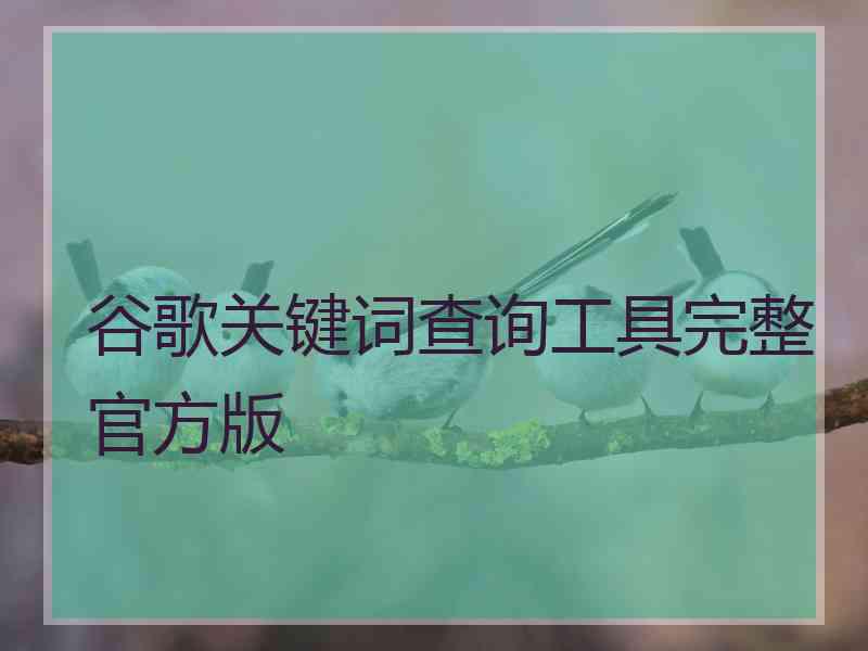 谷歌关键词查询工具完整官方版
