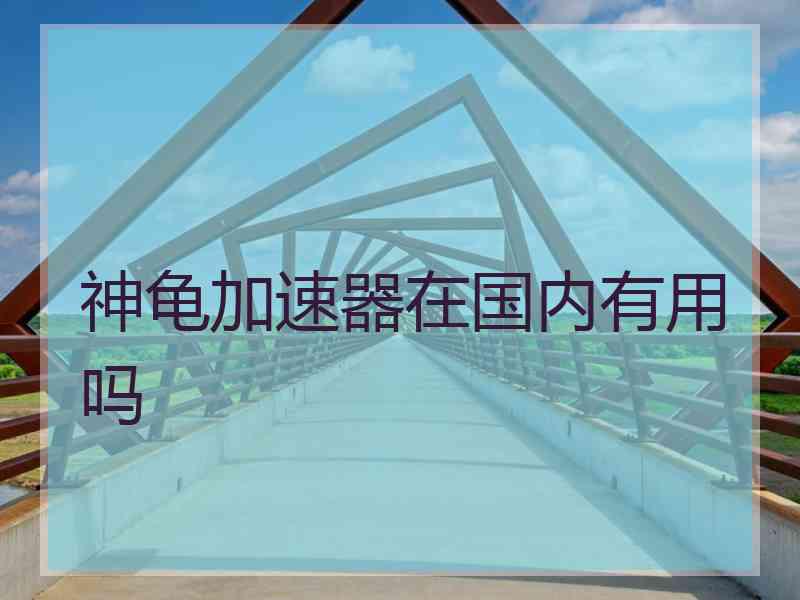 神龟加速器在国内有用吗