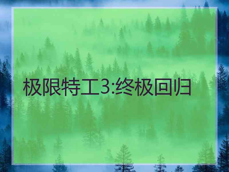 极限特工3:终极回归