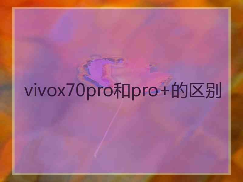 vivox70pro和pro+的区别