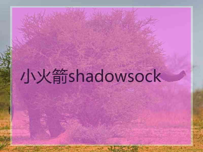 小火箭shadowsock