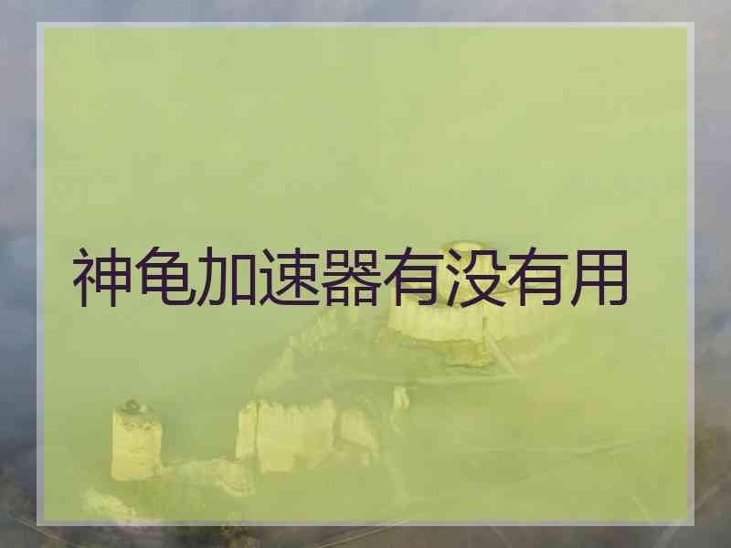 神龟加速器有没有用