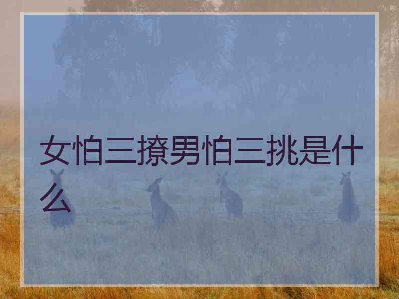 女怕三撩男怕三挑是什么