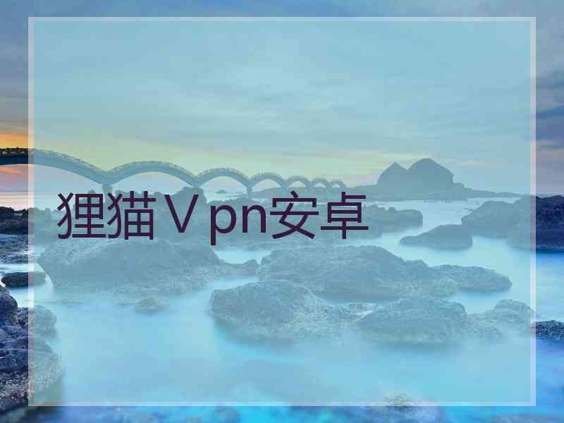 狸猫Ⅴpn安卓