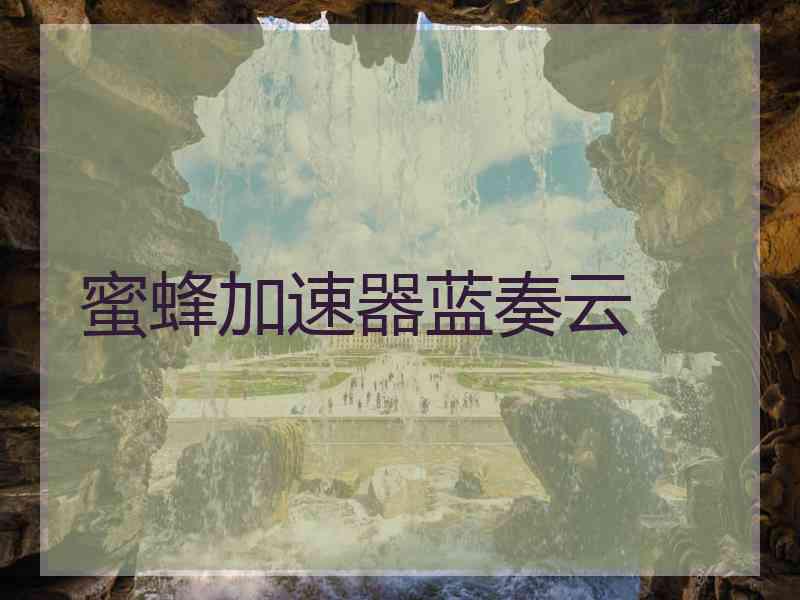 蜜蜂加速器蓝奏云