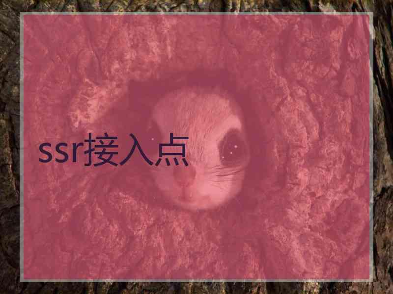 ssr接入点