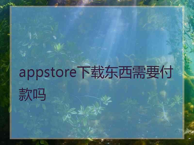 appstore下载东西需要付款吗