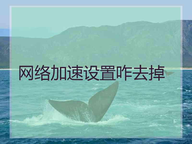 网络加速设置咋去掉