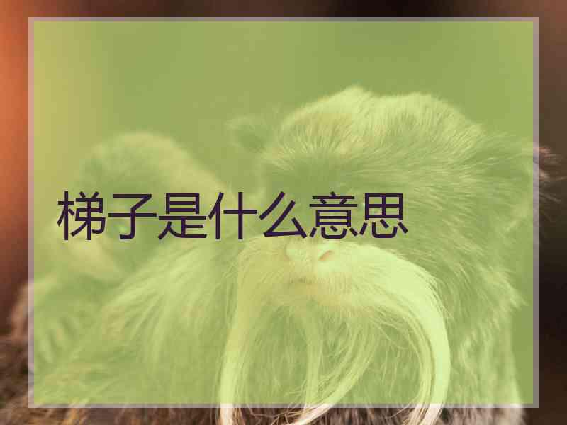 梯子是什么意思