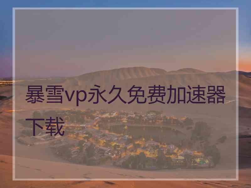 暴雪vp永久免费加速器下载