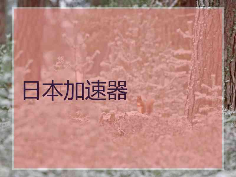 日本加速器
