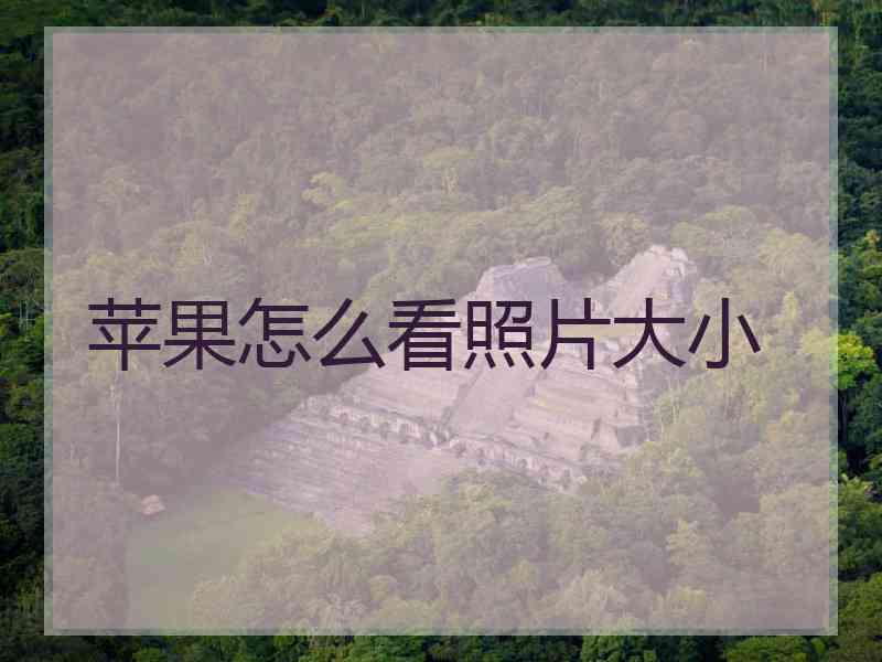 苹果怎么看照片大小