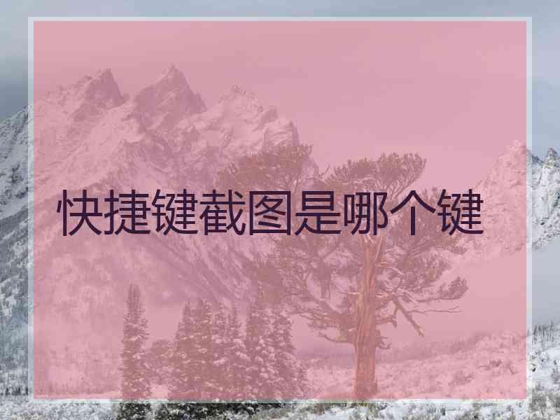 快捷键截图是哪个键