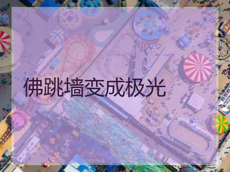 佛跳墙变成极光