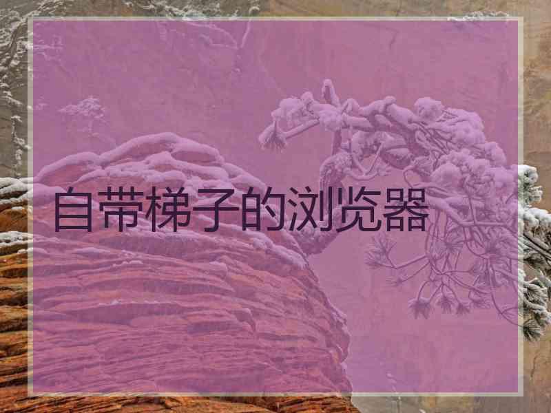 自带梯子的浏览器