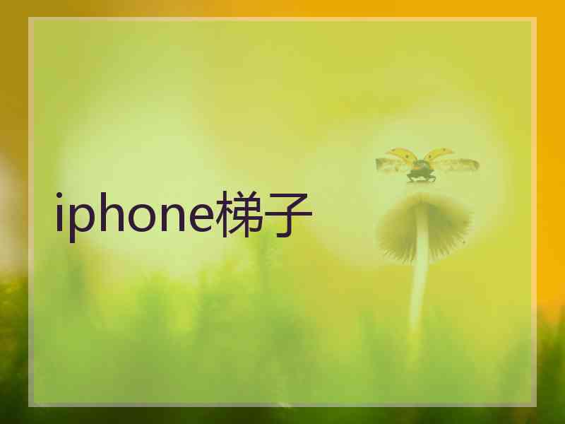 iphone梯子