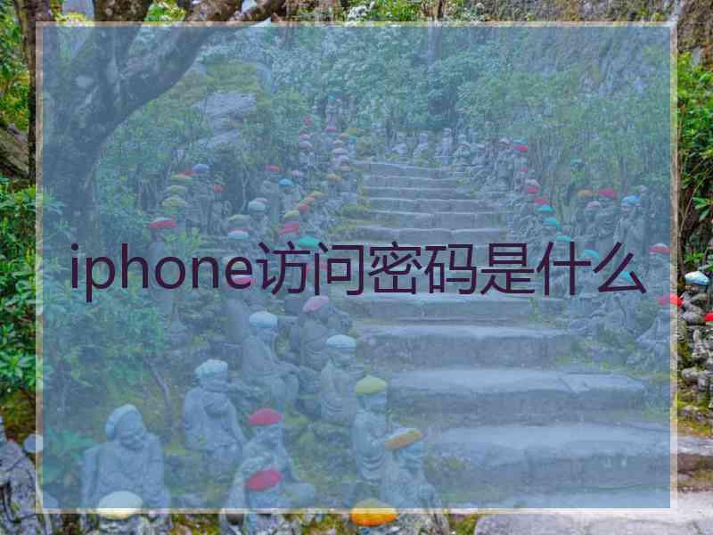 iphone访问密码是什么