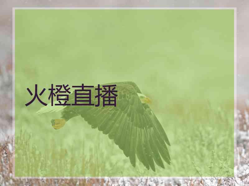 火橙直播