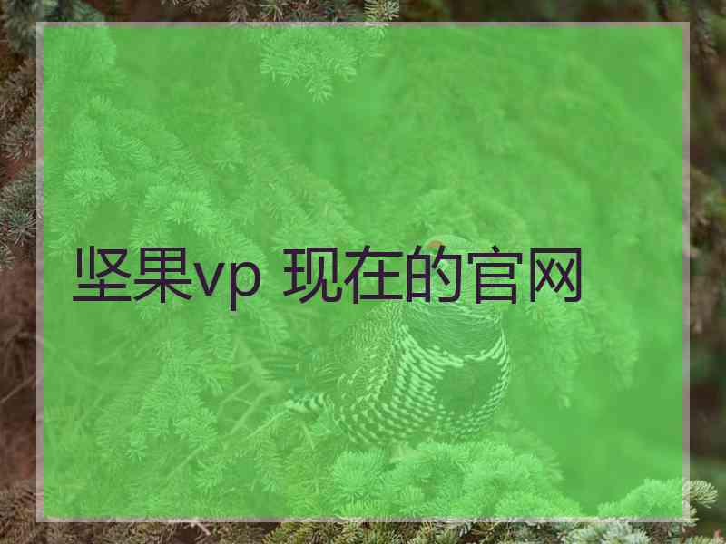 坚果vp 现在的官网
