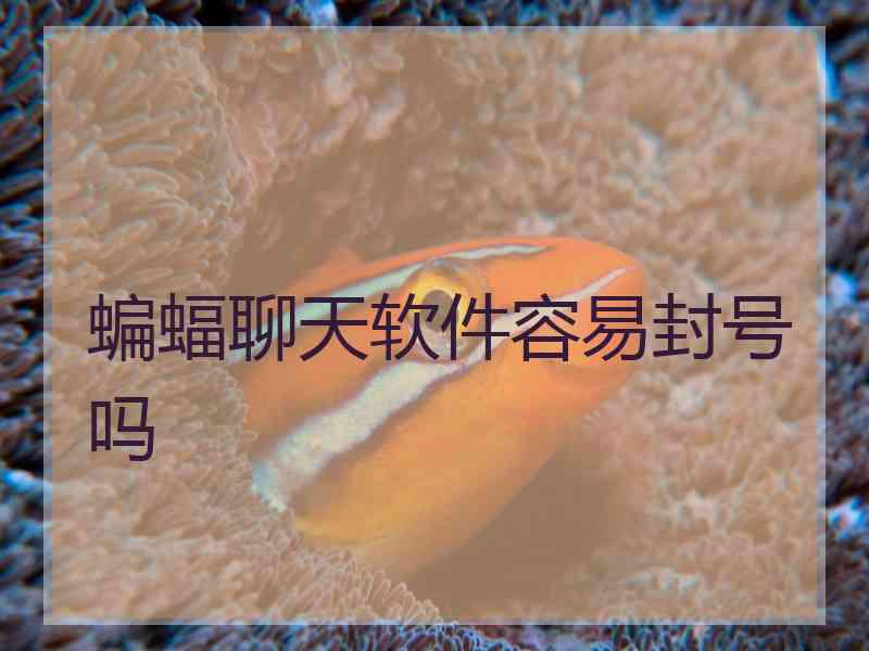蝙蝠聊天软件容易封号吗