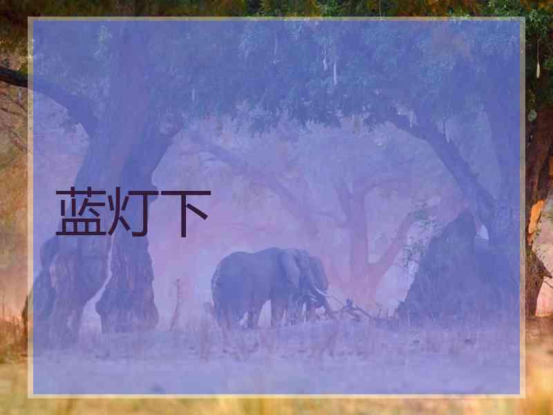 蓝灯下