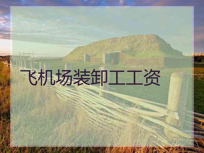 飞机场装卸工工资