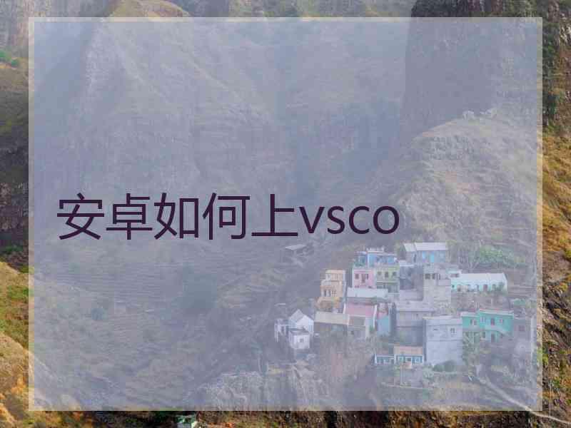 安卓如何上vsco